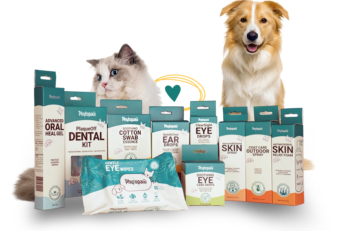 productos principales