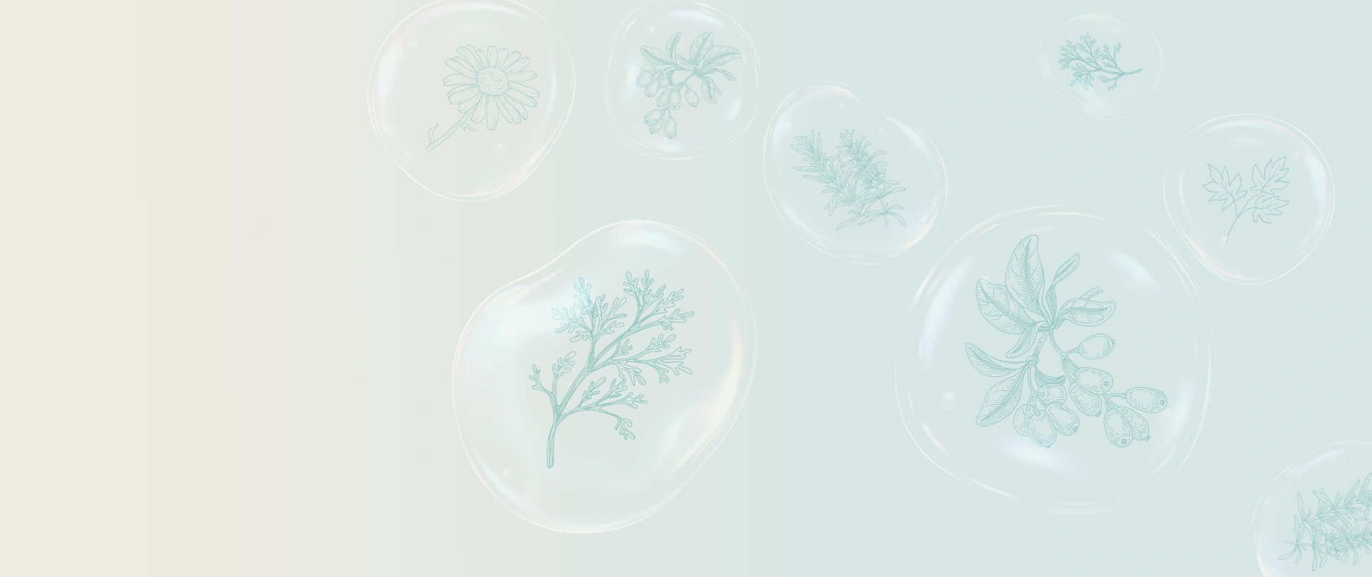 Certificado Científicamente