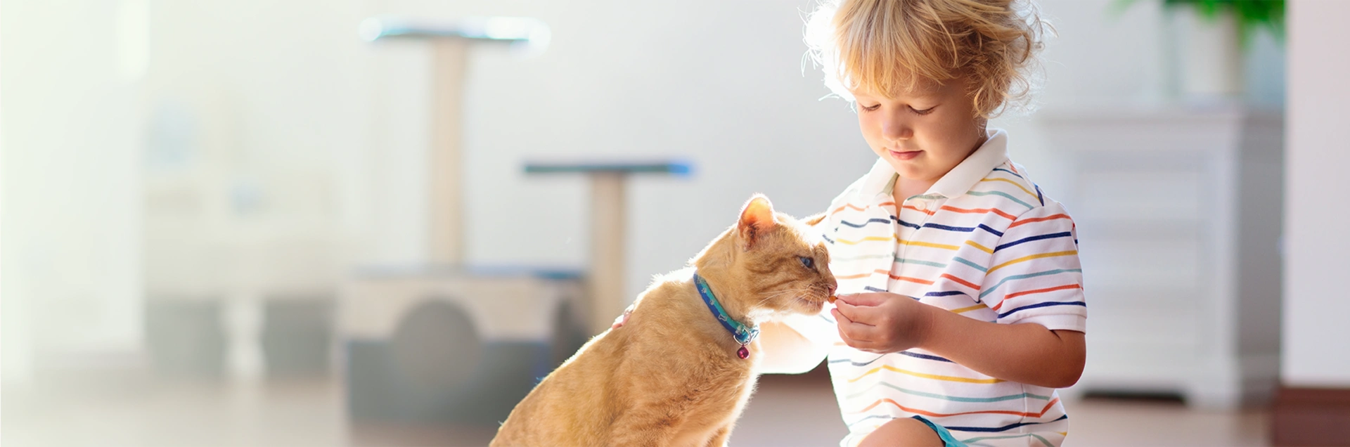 Centro educativo-banner