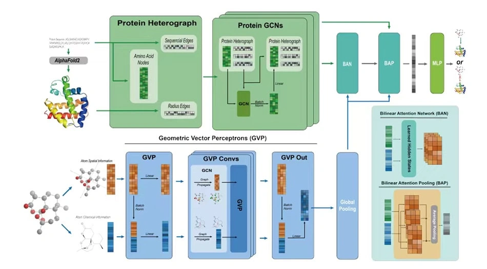 Guiados por la Sabiduría de la Naturaleza