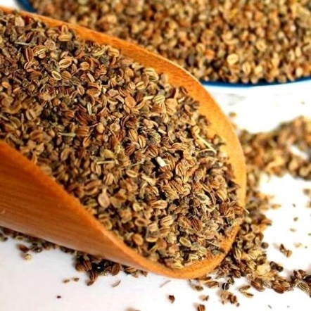 Fruto de Cnidium: el secreto de Asia Oriental para la salud de la piel de las mascotas