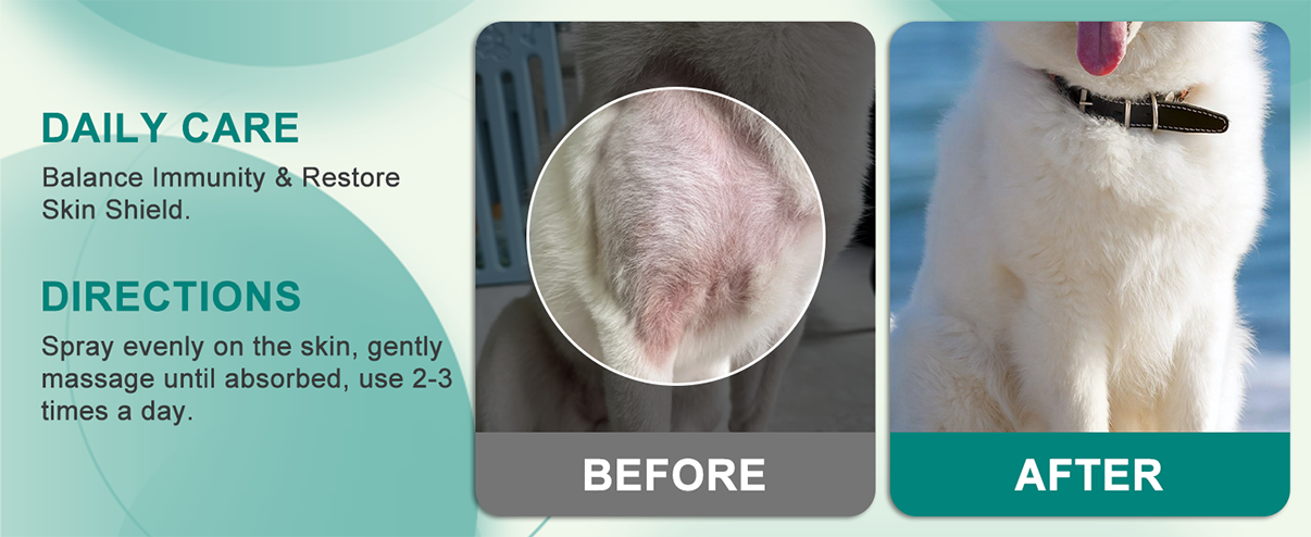 Spray para la piel ImmuneBalance