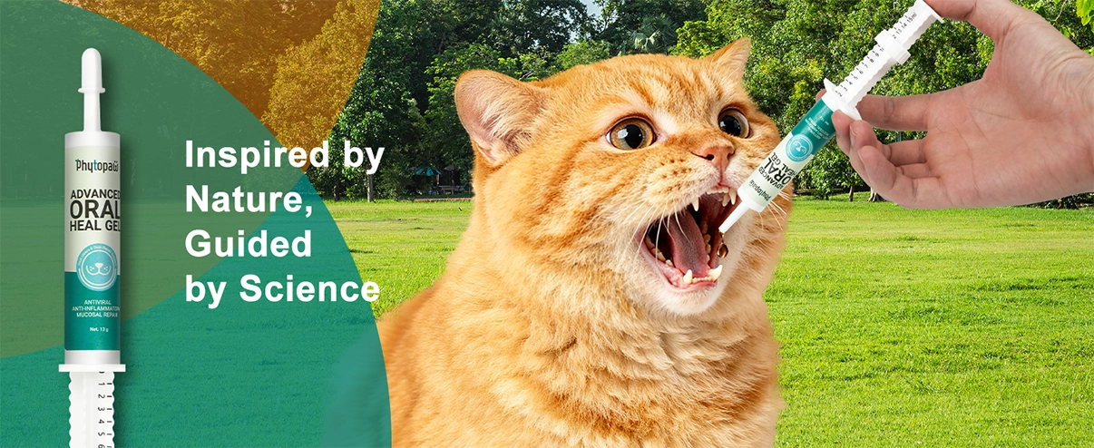 Gel avanzado para la curaci&oacute;n oral