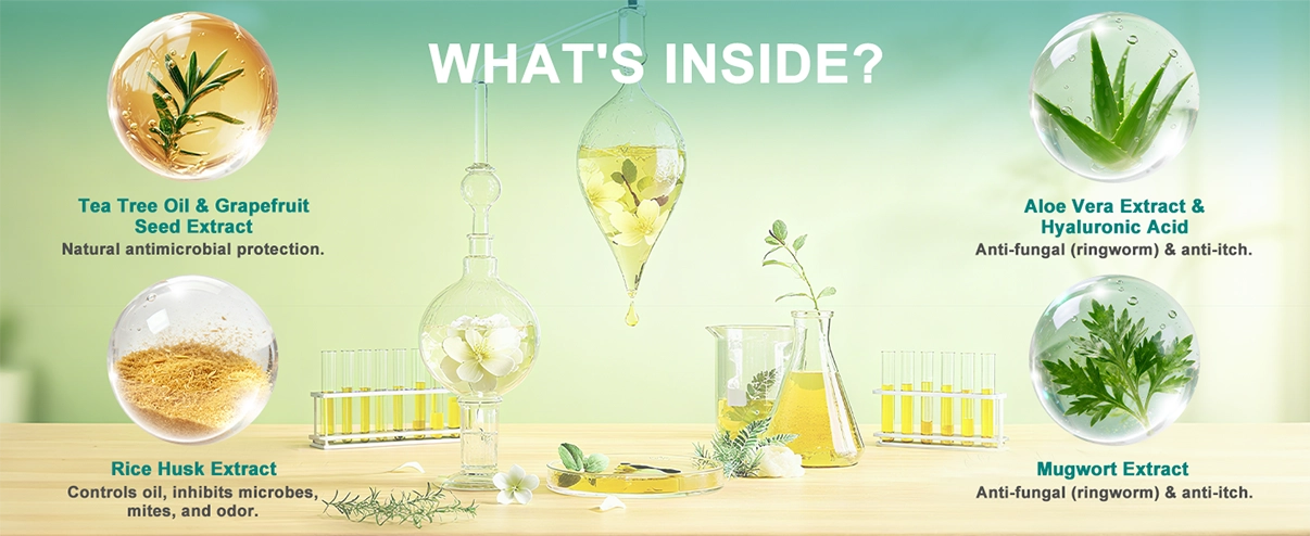 Espuma antimicrobiana para aliviar la piel