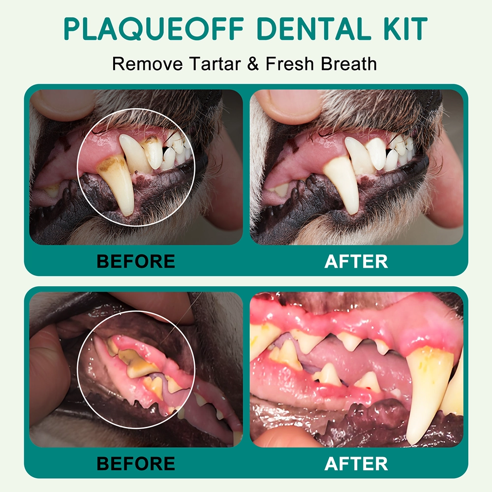 Kit dental PlaqueOff