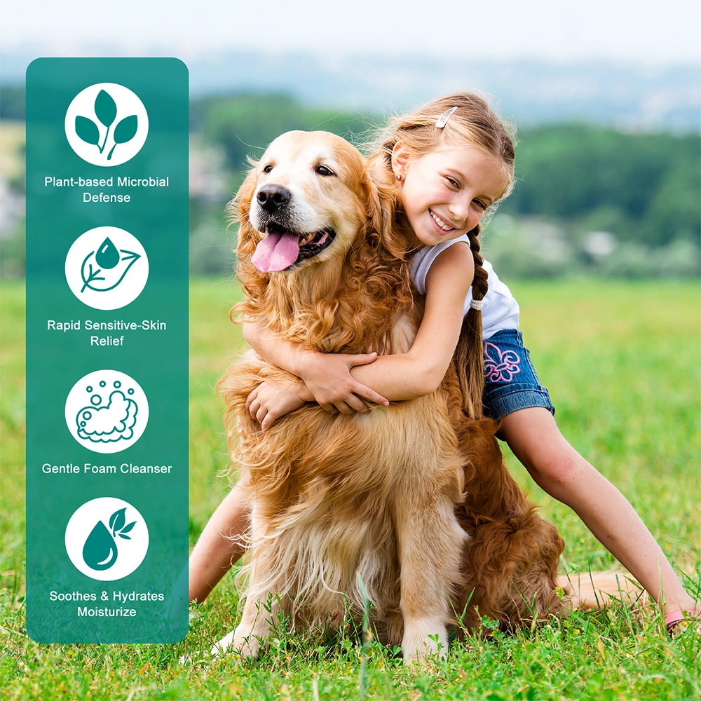 Espuma antimicrobiana para aliviar la piel