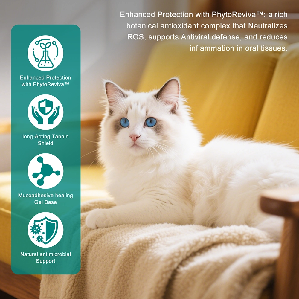 Gel avanzado para la curación oral