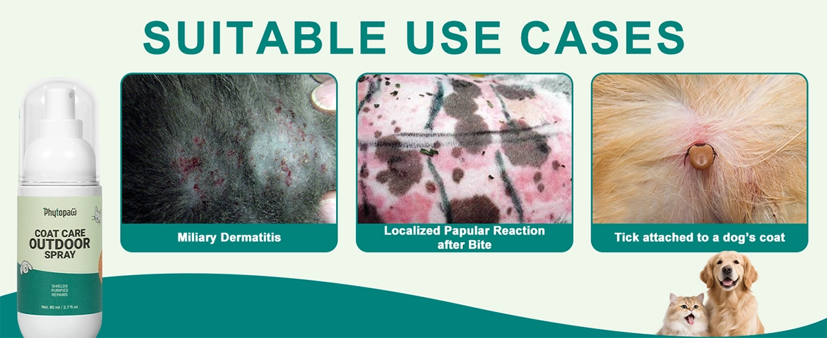 Spray para el cuidado del abrigo en exteriores