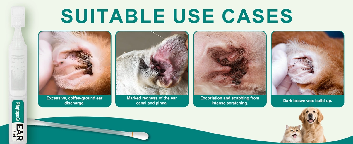 Gotas para los o&iacute;dos QuickClear