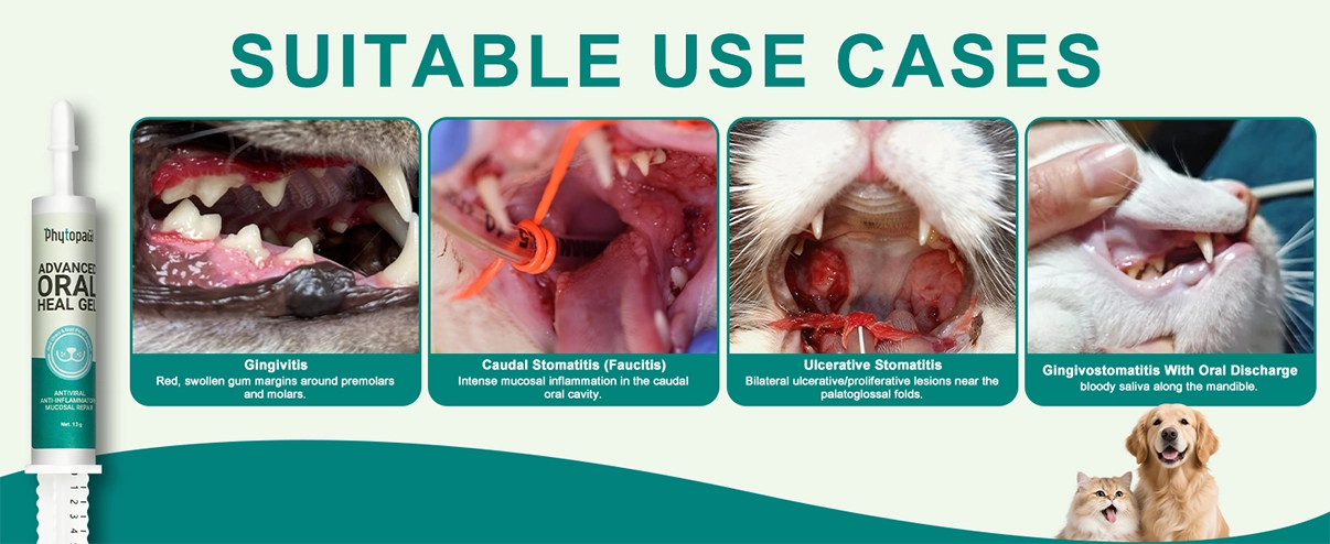 Gel avanzado para la curaci&oacute;n oral