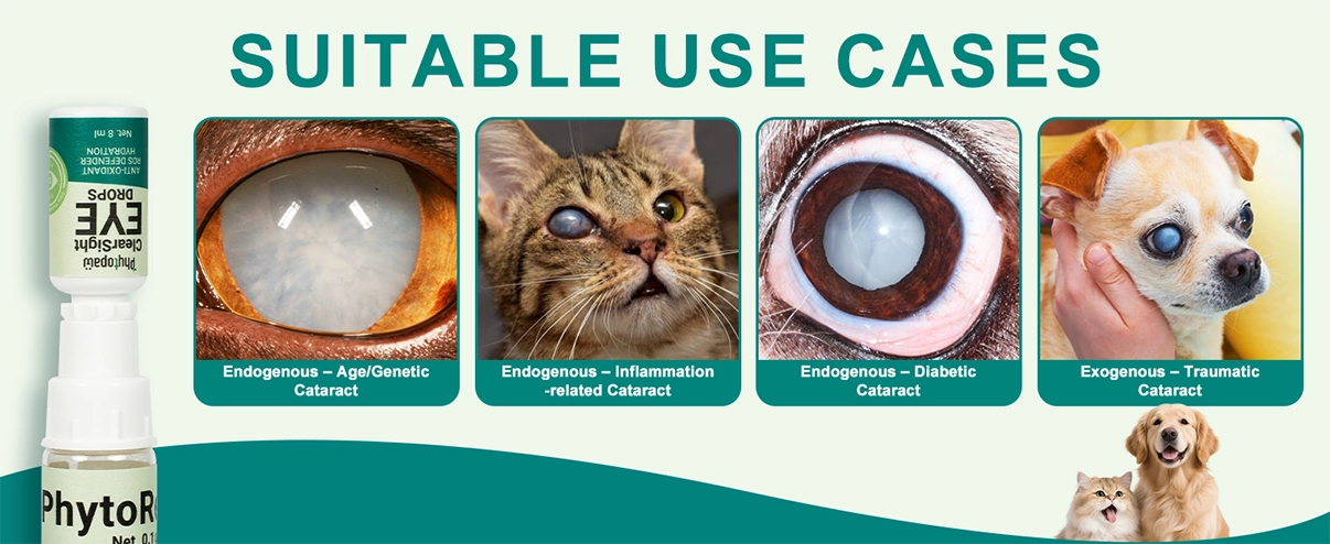 Gotas oft&aacute;lmicas ClearSight