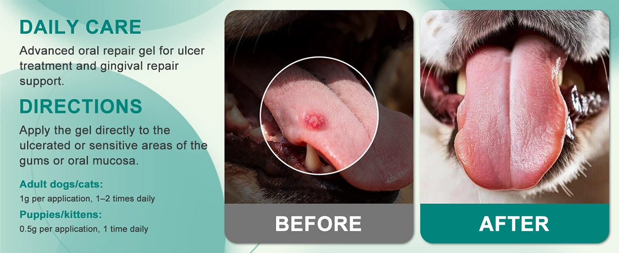 Gel avanzado para la curaci&oacute;n oral