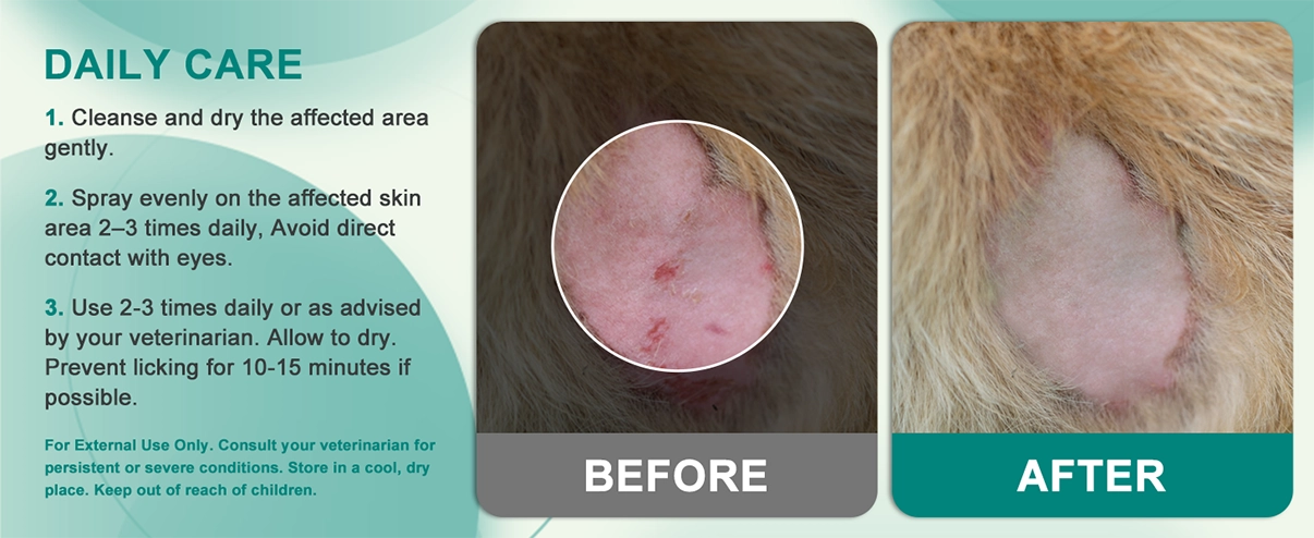 Espuma antimicrobiana para aliviar la piel