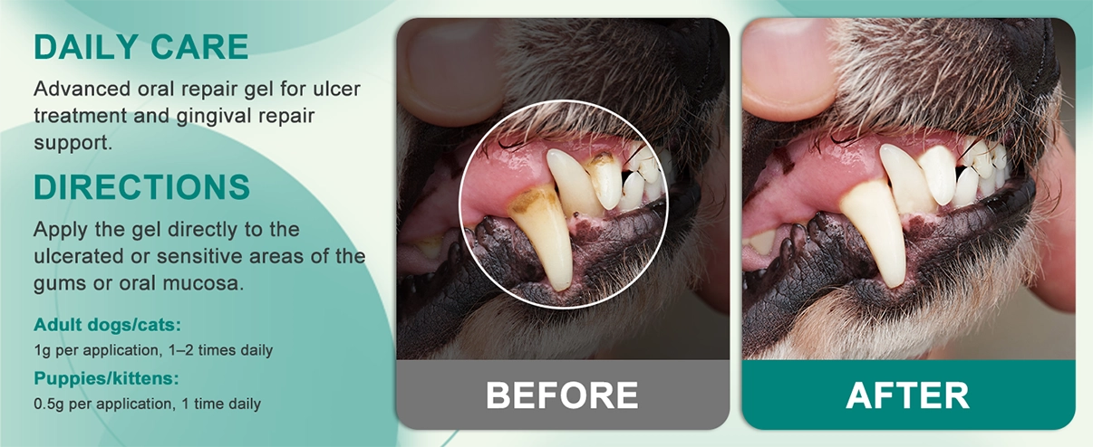 Bol&iacute;grafo para ablandar placas