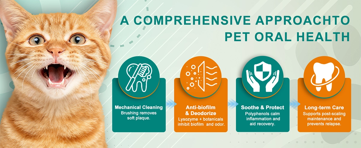 Bol&iacute;grafo para ablandar placas