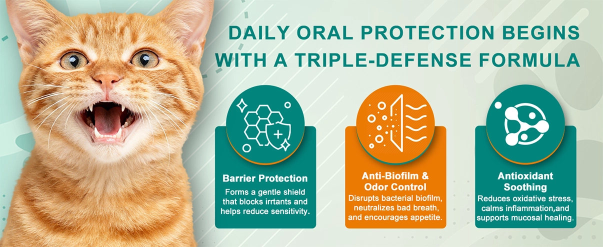 Gel avanzado para la curaci&oacute;n oral