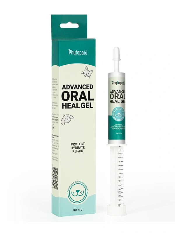 Gel avanzado para la curación oral