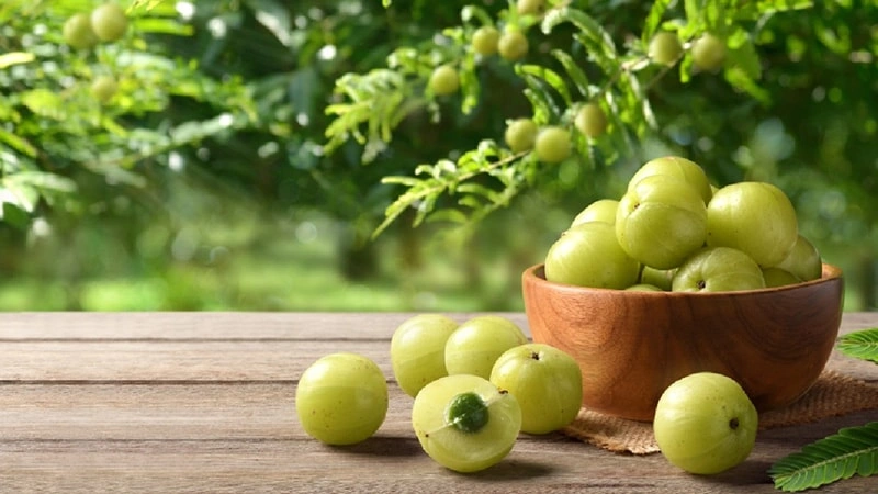 Amla: Un poderoso fuente de vitamina C para la vitalidad de los animales de compagnía