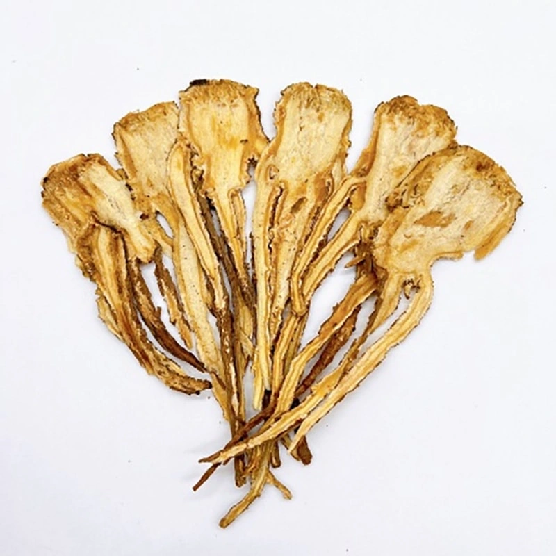 Dong Quai: El hierba restauradora para la piel de los animales de compagnía